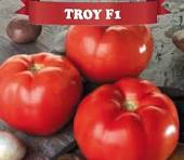 Troy Oturak Domates Fidesi